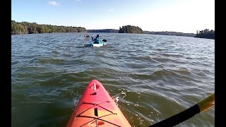 Paddle Out To The Island [upl. by Arette870]