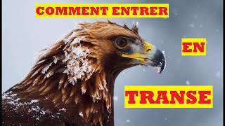 COMMENT ENTRER EN TRANSE  ANIMAL TOTEM  CHAMANISME [upl. by Anaic]