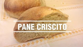 Ricetta Pane fatto in casa con criscito [upl. by Nesahc]