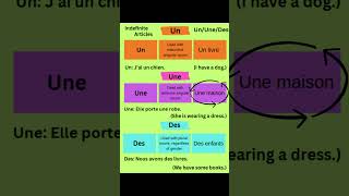 Un Une Des Indefinite Articles in French shorts french learninglanguages [upl. by Iphigenia]