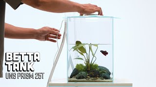 Simple Unique Betta Fish Tank  Ultum Nature Systems Prism [upl. by Ladnyc771]