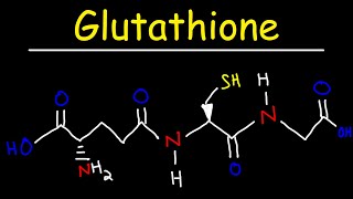 Glutathione  The Tripeptide Antioxidant amp Reducing Agent [upl. by Perretta]