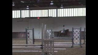 Mclain Ward clinic  gymnastics [upl. by Etan]