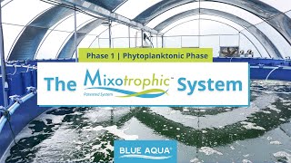 Mixotrophic™ System Phase 1  Managing Phytoplankton [upl. by Ginder]