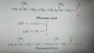 Alpha oxidation of Fatty acids [upl. by Robb]