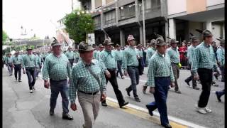 87° Adunata Naz Alpini Pordenone 2014  Sezione Abruzzi [upl. by Northway]