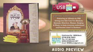 R Yom Tov Ehrlich  36 Album Collection on USB  Audio Preview [upl. by Essirehs]