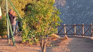 The Swiss Alpenhorn in the hills of Delphi Greece 49 Magic Sunset Greece 2024 [upl. by Bohaty564]