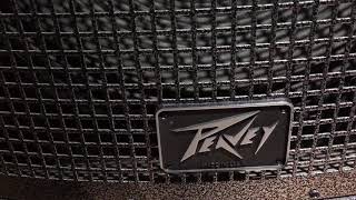 PEAVEY QW118 SUBWOOFER SWEET BASS LINE [upl. by Volding]