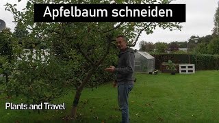 Apfelbaum schneiden Fehler vermeiden habe ich meinen Apfelbaum zerstört [upl. by Natie]