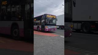 Șofer de treabă Autobuzul Setra S415LE business 977 pe linia M51 [upl. by Ingaborg743]