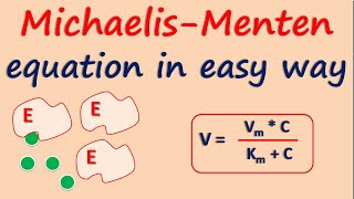 MichaelisMenten equation in easy way [upl. by Grekin]