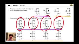 A Survey of Aldoses and Ketoses [upl. by Dannye]