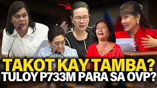 GRACE POE BISTADO TAKOT KAY TAMBA AT ZALDY CO P733 MILLION BUDGET DINA GINALAW LIZA AT TAMBA NAKAKA [upl. by Annaek337]