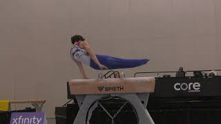 Stephen Nedoroscik  Pommel Horse  2024 Winter Cup  Men Day 2 [upl. by Rehpoitsirhc911]