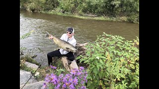 Salmon fishing Bowmanville Sept 25 2021 [upl. by Caldeira500]