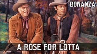 Bonanza  A Rose for Lotta  Episode 01  Western Series  FULL EPISODES  English [upl. by Stephie429]