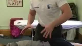 Chiropractic rib adjustment  osteopathic rib manipulation [upl. by Airetnahs759]