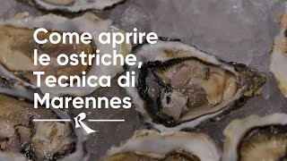 Come aprire le ostriche tecnica di Marennes  How to open oysters the Marennes Technique [upl. by Enilecram779]