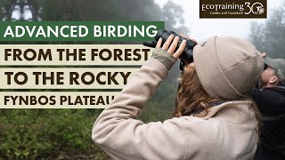 Advanced Birding at Mariepskop l EcoTraining Courses  EcoTraining [upl. by Linnie]