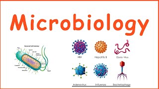 Microbiology  Introduction to microbiology  Microbiology quiz  Bacterial growth  Bacteria Cell [upl. by Sivam677]