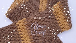 CROCHET Alpine stitch Scarf  2 Colors Project  Child Size  Crochet Scarf for 3 years [upl. by Judus]