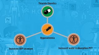 USMLE Prep  Renal amp Urinary  Thiazide diuretics  Adverse effects  Hyponatremia [upl. by Leahcar742]