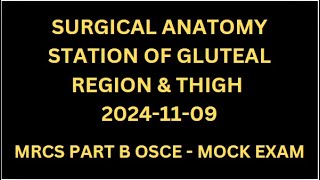 SURGICAL ANATOMY STATION OF GLUTEAL REGION amp THIGH [upl. by Gorlin]