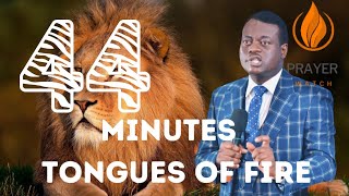 44 MINUTES TONGUES OF FIRE BY APOSTLE AROME OSAYI [upl. by Sivehc]