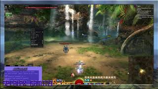 Guildwars2 ArcDPS 16062020 GUIDE  Installieren und die Grundfunktionen [upl. by Enelyt108]