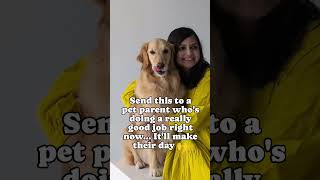 Your Pet Parent Friend Needs To See This 🥰 petlover doglover doglife cutedog goldenretriever [upl. by Charley660]