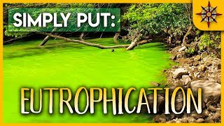 Eutrophication Explained [upl. by Holub]