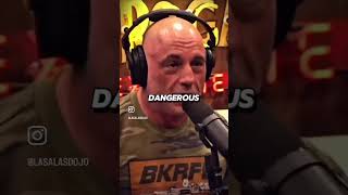 Grandmaster LaSala featured in joerogan interview martialarts karate ufc [upl. by Ardek]