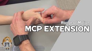 ROM Metacarpophalangeal MCP Joint Extension Range of Motion [upl. by Hada745]