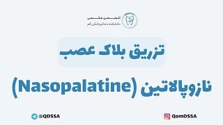 تزریق بلاک عصب نازوپالاتین Nasopalatine  دکتر اشکان بادکوبه [upl. by Jr]