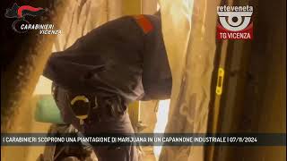 I CARABINIERI SCOPRONO UNA PIANTAGIONE DI MARIJUANA IN UN CAPANNONE INDUSTRIALE  07112024 [upl. by Enyrehtac]