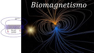 Biomagnetismo  11 Influencia de los campos magnéticos en los procesos metabólicos Parte 1 [upl. by Razatlab99]