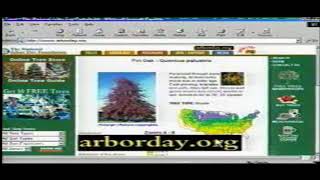 Arbor Day FoundationTree City USA PSA Commercial 2004 [upl. by Lay]