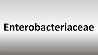 How to Pronounce Enterobacteriaceae [upl. by Norine]