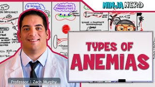 Hematology  Types of Anemias [upl. by Ecylahs]