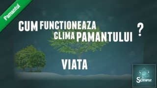 Cum Functioneaza Clima Pamantului  Partea 6  Viata [upl. by Nerual]