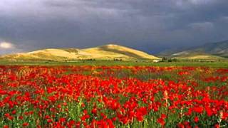 Armenian folk song  Bingyol [upl. by Yra]