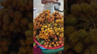 Forest fruit wan siemreap fruits [upl. by Zollie]