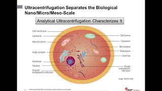 An Introduction to characterization of biomolecules using analytical ultracentrifugation [upl. by Ritz]