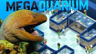 Megaquarium  Moray Eels And Giant Tanks  Our New Aquarium  Megaquarium Gameplay [upl. by Ebag]