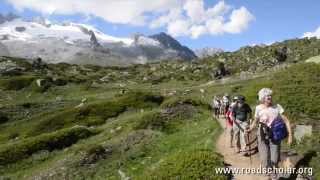 Road Scholar Walking Switzerland From the Jungfrau to the Matterhorn [upl. by Behah]