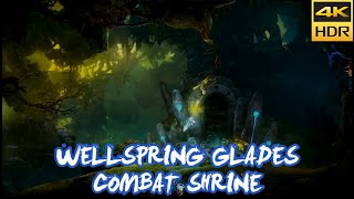 Wellspring Glades Combat Shrine Location  Guide  Ori and the Will of the Wisps 4k HDR [upl. by Eugenia358]