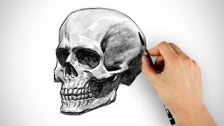 Draw a Skull  Halloween Special [upl. by Sacram]