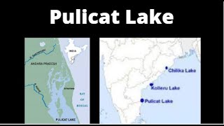 Pulicat Lake  Pulicat Lake UPSC  Important Lakes of India [upl. by Ylremik180]