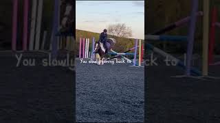 Hold tight your slowly coming back to life horse equestriantraining equestrainlife horsetraining [upl. by Camile]